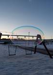 20230117_113336 (Large).jpg (352194 bytes)